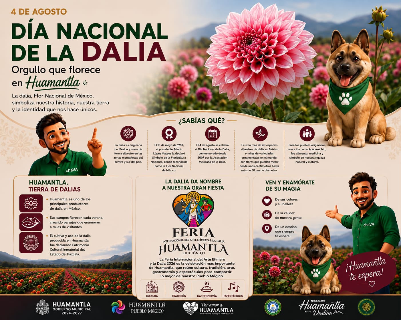 Huamantla florece con el orgullo de México en el Día Nacional de la Dalia